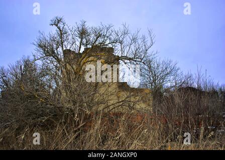 Crimean coquina rock blocks ruined farm walls, dry weathered grass glade, elderberry bushes without leaves, blue clear sky background Stock Photo