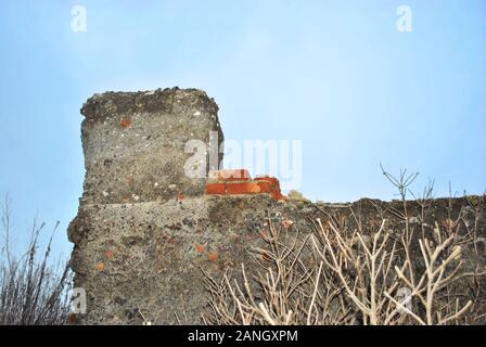 Grey ruined farm walls, dry weathered grass glade, elderberry bushes without leaves, blue clear sky background Stock Photo