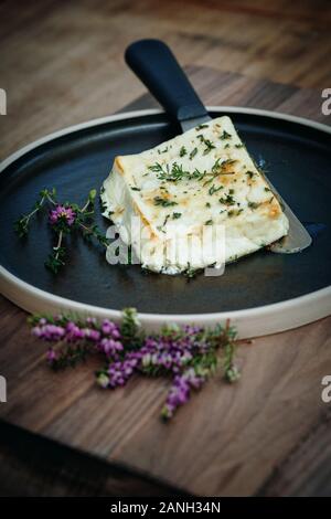 Vegetarian recipe  of halloumi with honey and thyme on a plate with a pallet knife Stock Photo