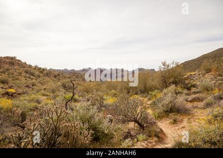 Hiking trails in the Sonoran Desert of Arizona. Stock Photo