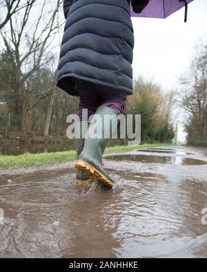 Kidderminster, UK. 17th January, 2019. UK weather: with absolutely no let up in the wet weather, water levels are on the rise and even pavements are flooded forcing pedestrians to resort to their wellington boots. A woman with umbrella, rear view, is seen here isolated walking through the puddles in her wellies, close-up, along a canal towpath in the rain. The month of January is proving to be a wet, dreary start to the new year. Credit: Lee Hudson/Alamy Live News Stock Photo