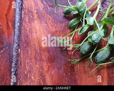 On a wooden surface lies a green microgreen from pea seedlings. Healthy eating Copy space. Stock Photo