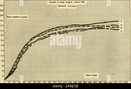 The Journal of experimental zoology . enth to the eighteenth generation groups(graph A) were heavier animals at any given age than were thoseof subsequent generations; while the rats of the twenty-secondto the twenty-fourth generation groups showed a much lessvigorous growth than did the animals in the earlier groups.The rats in the twenty-fifth generation of the B series increasedin body weight very slowly during the adolescent period, as theposition of graph D in figures 3 and 4 indicates; but in the adult EFFECTS OF INBREEDING ON BODY WEIGHT 81 state their growth was much more vigorous, and Stock Photo