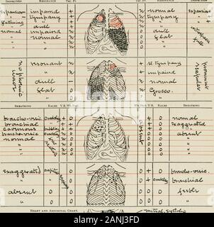 Diseases of the chest and the principles of physical diagnosis . er  thesymbol which stands for the type of breathing. normally be somewhat  harsh, must be borne in mind, and examination ofthe