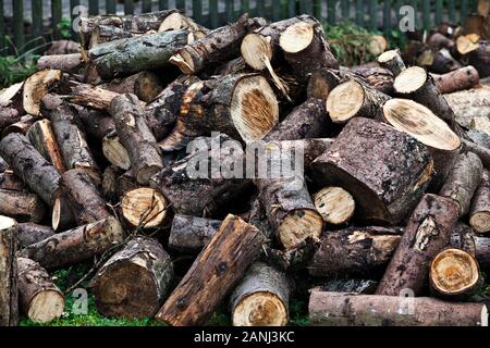 Firewood. (CTK Photo/Josef Horazny) Stock Photo