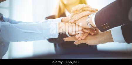 Business team showing unity with their hands together in sunny office. Group of people joining hands and representing concept of friendship, teamwork Stock Photo