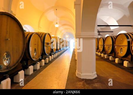 Cartuxa Winery Wine Cellar, Quinta de Valbom, Fundação Eugénio De Almeida, Evora, Alentejo, Portugal, Europe Stock Photo