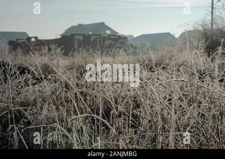 Winter field of meadow grass on a background of houses. Winter frosty morning. Selective focus. Without people. Landscape photo layout Stock Photo