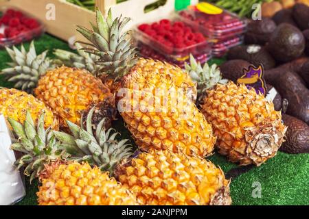 Different kinds of tropical fruits at market. Pineapple, avocado, raspberry. Fresh raw organic bio uncooked fruits for sale at farmers market. stock p Stock Photo