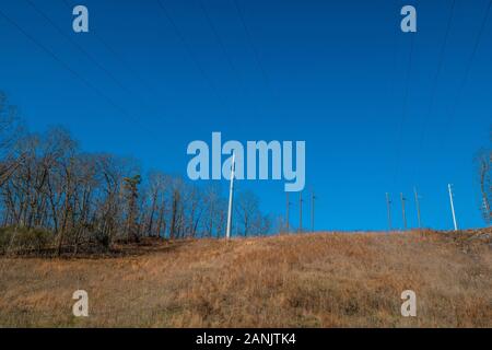 High up on a hill are wooden and metal power lines in a field with tall grasses cutting through the woodlands alongside on clear blue sky sunny day in Stock Photo