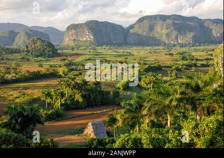 Vinales valley, Sierra del Rosario, Cuba Stock Photo - Alamy