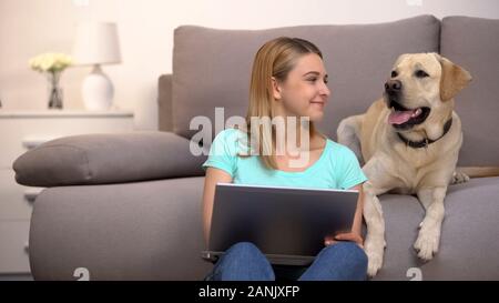 Happy labrador retriever female owner buying dog food online using laptop pc Stock Photo