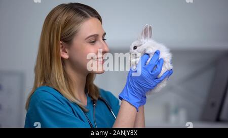 Young female vet playing with bunny, care and love to patient in animal hospital Stock Photo