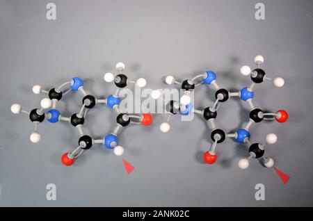 Ball and stick model of a caffeine molecule Stock Photo - Alamy