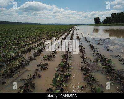 Drone aerial Flooded soybean field Ohio River Indiana Stock Photo - Alamy