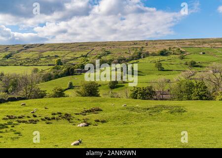 Yorkshire Dales landscape in the Dent Dale near Cowgill, Cumbria, England, UK
