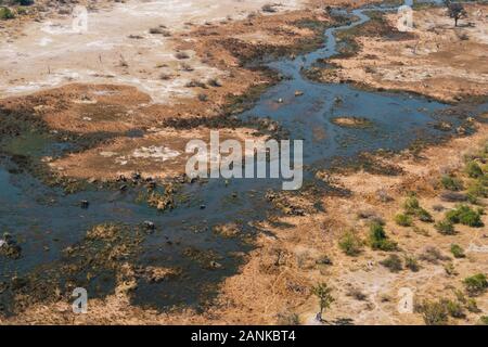 Okavango Delta Aerial with Elephant Herd Grazing in a Swamp or River Surrounded by Arid Land in Moremi Game Reserve, Botswana, Africa Stock Photo