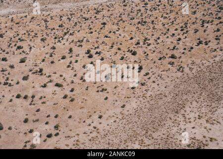 Arid Savanna Aerial Background with Bushes and Trees on an Arid Plain, an Abstract Drone Shot with Copy Space Stock Photo