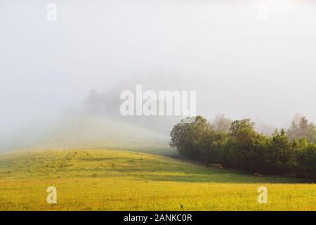 Rolling countryside around a farm in the morning light. Wonderful day and gorgeous scene. Location place Carpathian, Ukraine, Europe. Perfect vacation Stock Photo