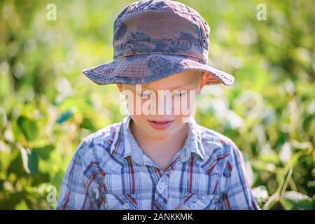 Sad boy in panama and checkered shirt in summer on field with soy. Lifestyle in summer and spring. Stock Photo