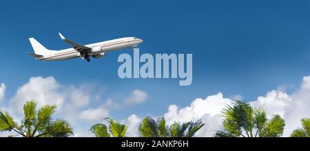 White airplane flying above the palm trees. Stock Photo