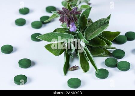 Sage plant and green pills Stock Photo