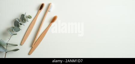 Eco-friendly bamboo toothbrushes and eucalyptus leaf on green background. Natural organic bathroom beauty product concept. Flat lay, top view, copy sp Stock Photo