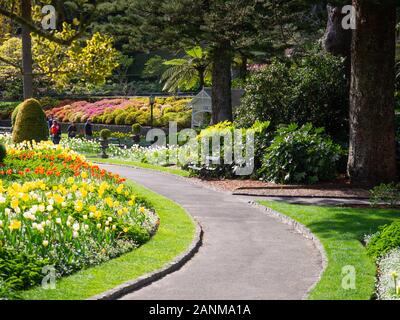 Path Past Spring Time Tulipcs In The Wellington Botanic Garden Stock Photo