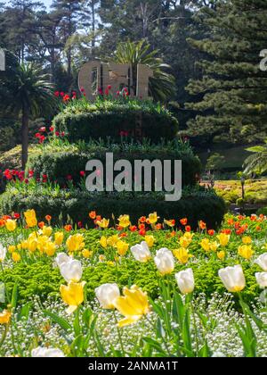 Spring Time Tulips In The Wellington Botanic Garden Stock Photo