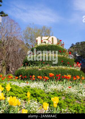 150 Year Tulips Anniversary In The Wellington Botanic Garden Stock Photo