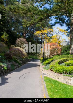 Spring Time In The Wellington Botanic Garden Stock Photo