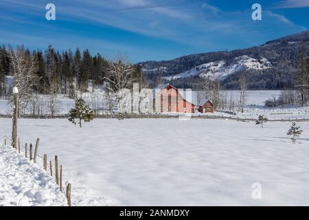 A fence row leads to a red barn in a snow covered field in north Idaho. Stock Photo