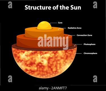 Diagram showing structure of the Sun Stock Vector Image & Art - Alamy