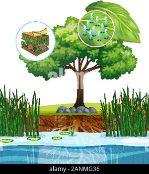One Tree Cell Images Close up diagram of plant cell illustration Stock Vector Image & Art ...