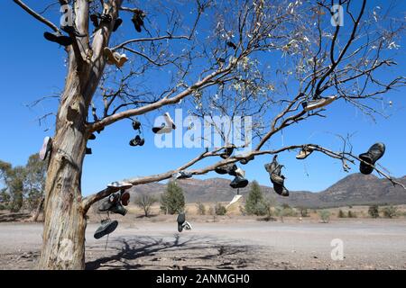 Tree with shoes and boots hanging from its limbs, Australia Stock Photo