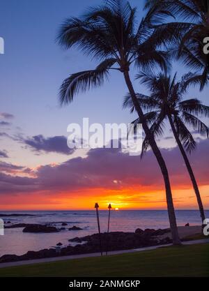 A beautiful sunset and silhouetted coconut palm trees as seen from Pauoa Bay at the Fairmont Orchid, Kohala Coast, Hawaii. Stock Photo