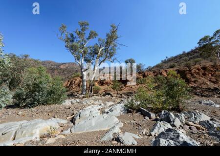 Dry riverbed in Brachina Gorge, Ikara-Flinders Ranges National Park, South Australia, Australia Stock Photo