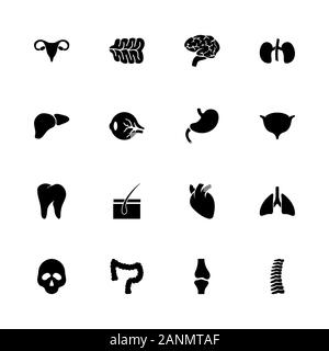 Organs icons - Expand to any size - Change to any colour. Flat Vector Icons - Black Illustration on White Background. Stock Vector