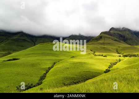 Green meadows and soft green mountains in the foreground - Monk's Cowl, Champagne Castle and Cathkin Peak shrouded in clouds, Drakensberg, South Afric Stock Photo