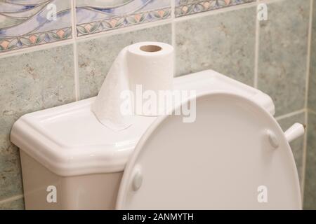 Victorian toilet cistern and paper roll with pan lever flush close up detail in bathroom Stock Photo