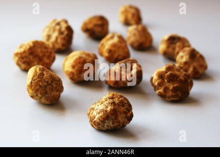 Desert truffles from Kuwait, Saudi Arabia, Iraq and Iran Stock Photo