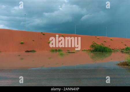Desert storm clouds contrasted with bold burnt orange colored sand and flooded waters on the sand highlighted green flora and fauna after a storm on t Stock Photo