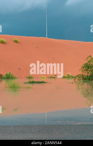 Desert storm clouds contrasted with bold burnt orange colored sand and flooded waters on the sand highlighted green flora and fauna after a storm on t Stock Photo