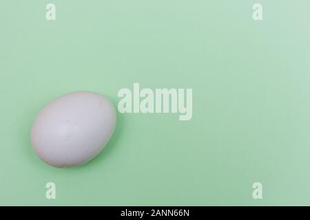 Easter holiday flat lay with white egg on a solid light green pastel background with copy space. Stock Photo