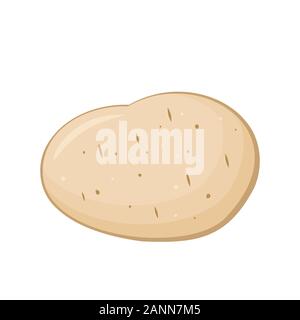Young potato. Cartoon potato isolated on white background. Raw yellow potato. White potato vegetable icon. Tuber of potatoes. Modern cute fresh yam. Stock Vector