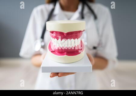 Photo Of Doctor Holding Tooth Model In Hands Stock Photo