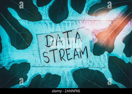 Conceptual hand writing showing Data Stream. Concept meaning sequence of digitally encoded coherent signals used to transmit Leaves surrounding notepa Stock Photo