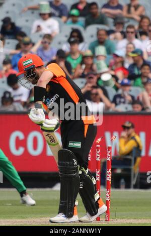 MCG  , Melbourne , Victoria, Australia 18 January 2020 - KFC Big Bash league(BBL) Match 41 - The Melbourne Stars Men playing The Perth Scorchers Men - Scorchers Batsman Joshua Inglis is Bowled by Daniel Worrall - Melbourne Stars won by 10 runs.- Image Credit Brett Keating - Alamy Live News. Stock Photo