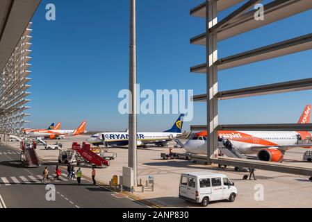 Region de Murcia International Airport, Corvera, Costa Calida, Spain, Europe. Busy with easyJet and Ryanair jet airliner planes. Passengers walking