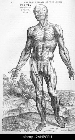 アート・デザイン・音楽 On the Fabric of the Human Body On the Fabric of the Human Body in Seven Books | Library of